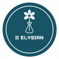 11 Elysian Skin Treatments clinic